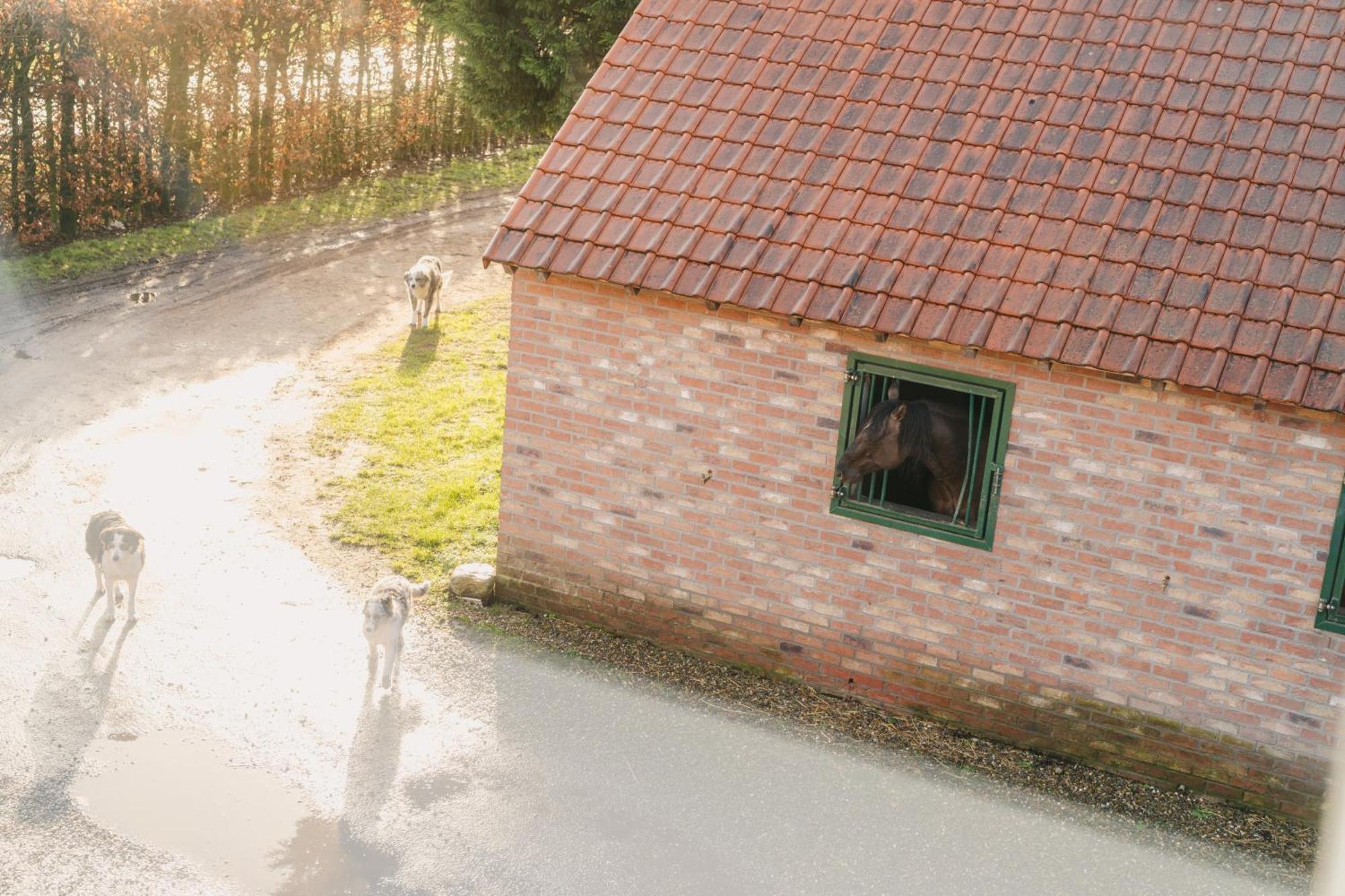 De Dommelhoeve ペーアー エクステリア 写真